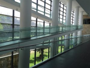 IMG_0982